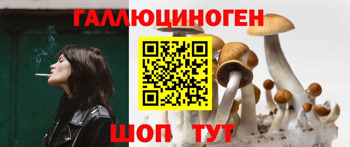 Псилоцибиновые грибы GOLDEN TEACHER Алатырь